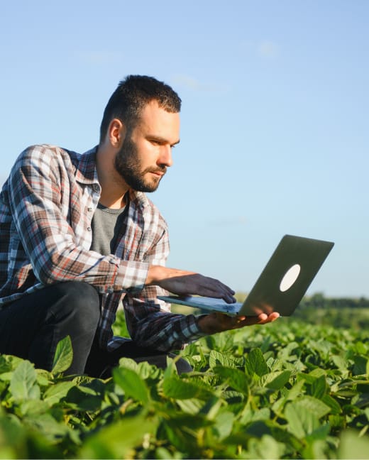 Agroindustria