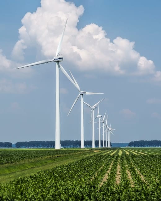 Gas y Energías Renovables